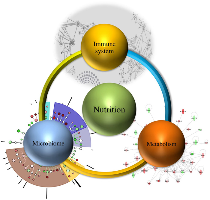 NUTRIGENETICA