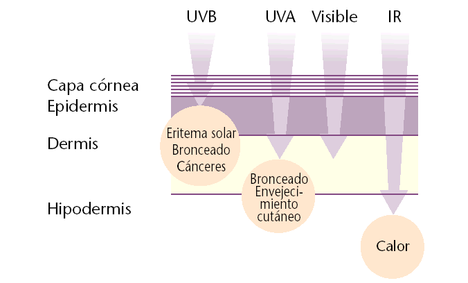 Rayos UV y piel