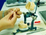 Crean dientes a partir de células madre