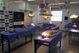 En abril, curso internacional de anatoma aplicada en cadveres enfocado en esttica