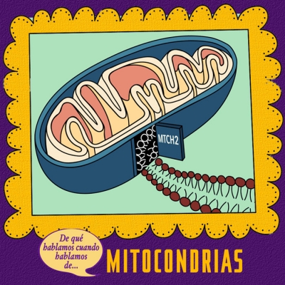 Mitocondrias